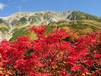 富山のおすすめ紅葉スポット2025🍁